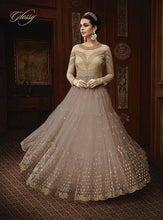 Load image into Gallery viewer, Premium quality Heavy Net With  work &amp; Stone Work Salwar